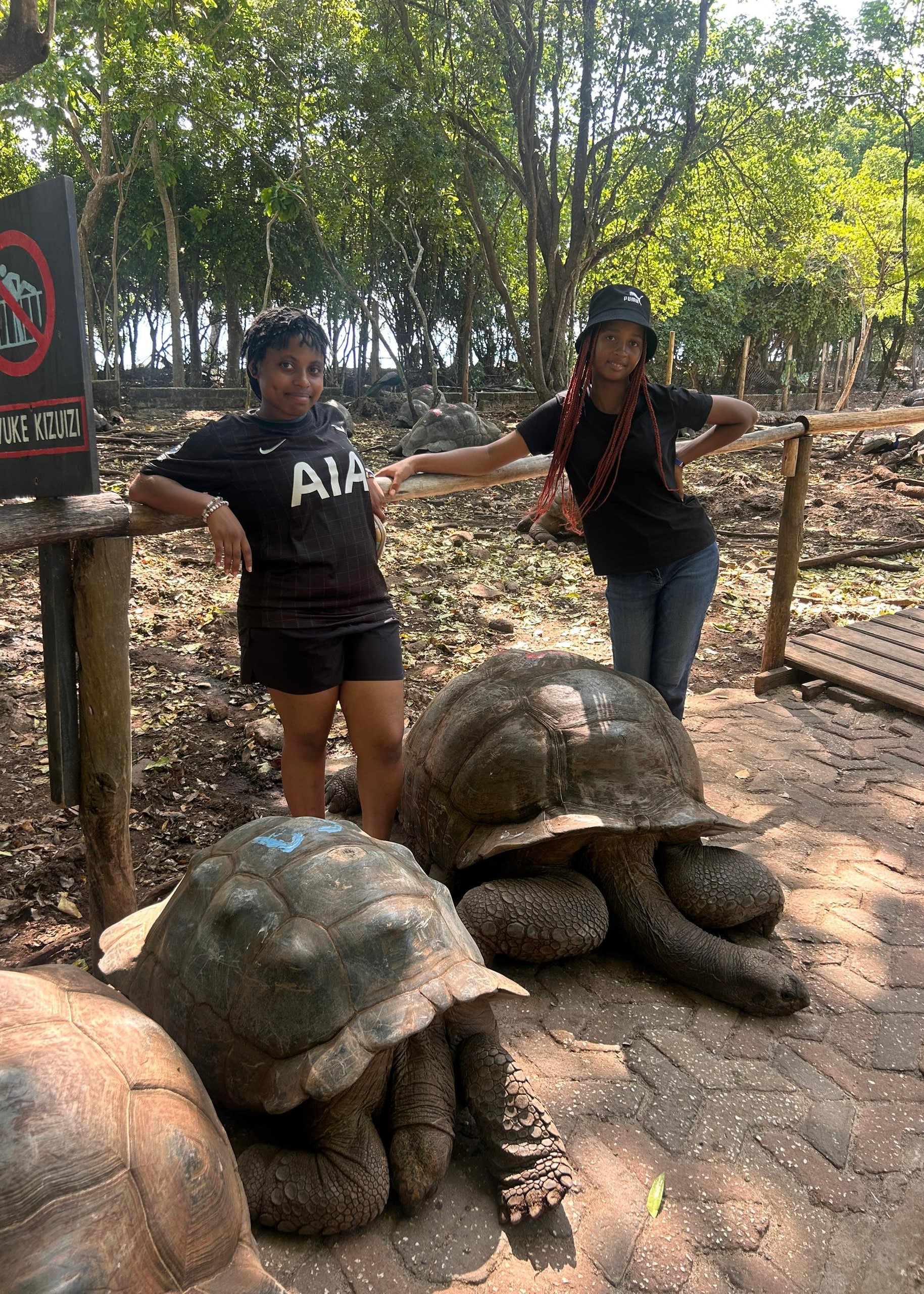 Luxury safari lodge Tanzania