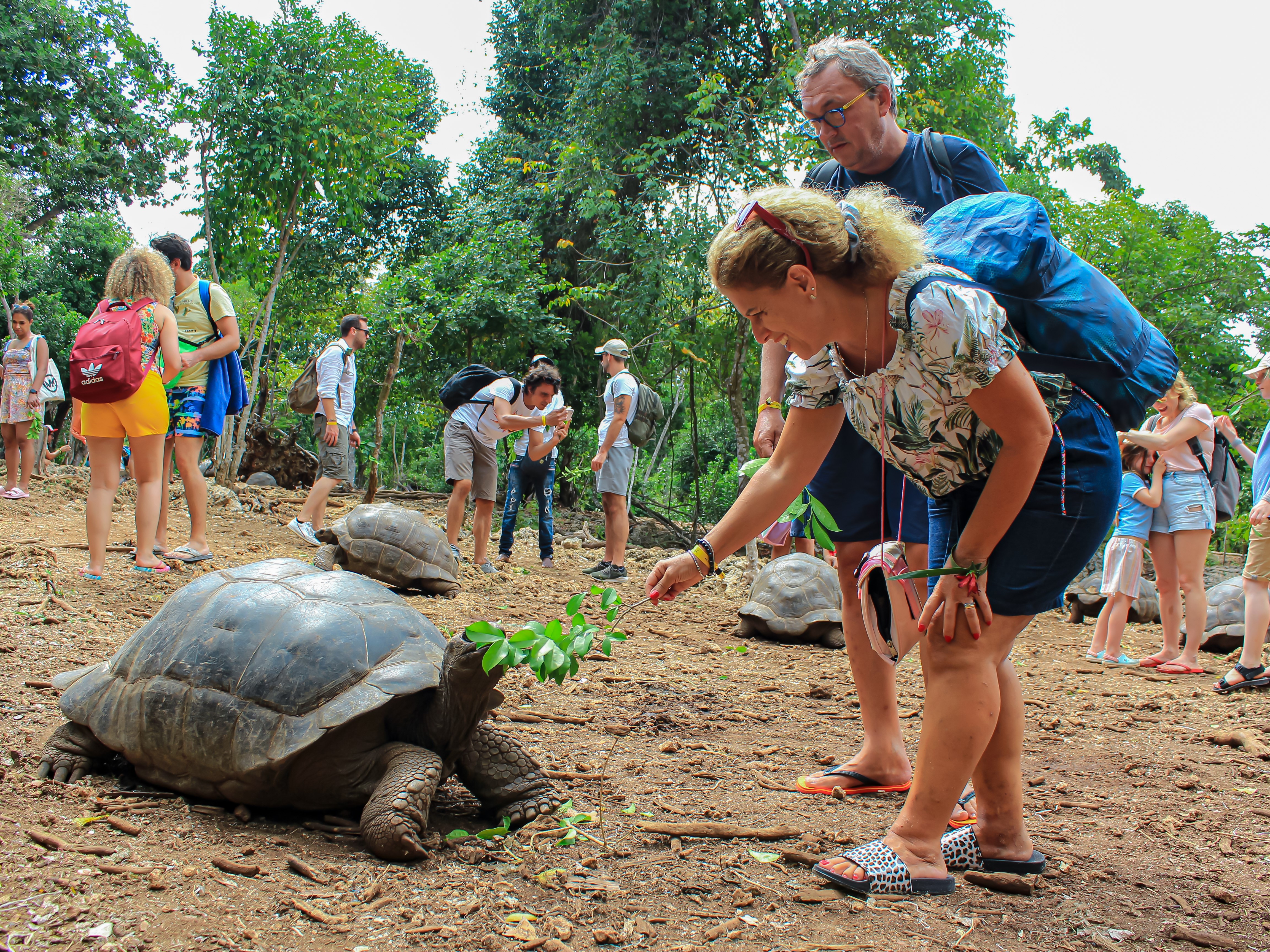 Stone Town cultural tour